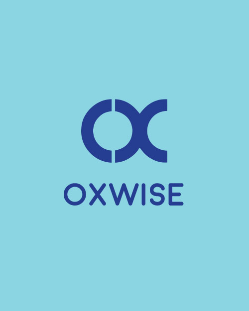 logo design oxwise 1